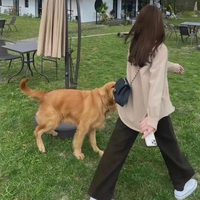 我们曾经很酷